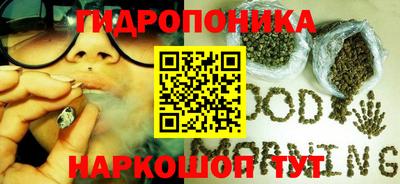 молекула духа Будённовск