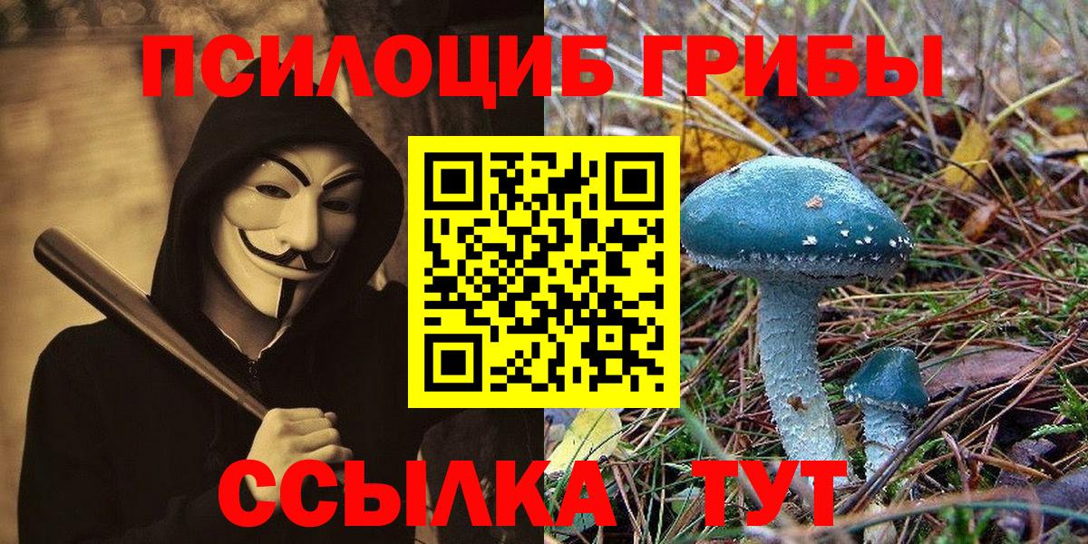 Псилоцибиновые грибы GOLDEN TEACHER  Вход с VPN  Якутск 